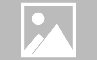中山秋叶高清素材下载网站（秋叶视频素材）